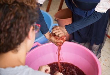 Textiles and Dyeing Workshop